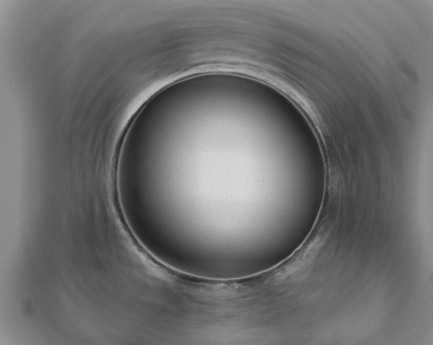 X0000112481533200908241243