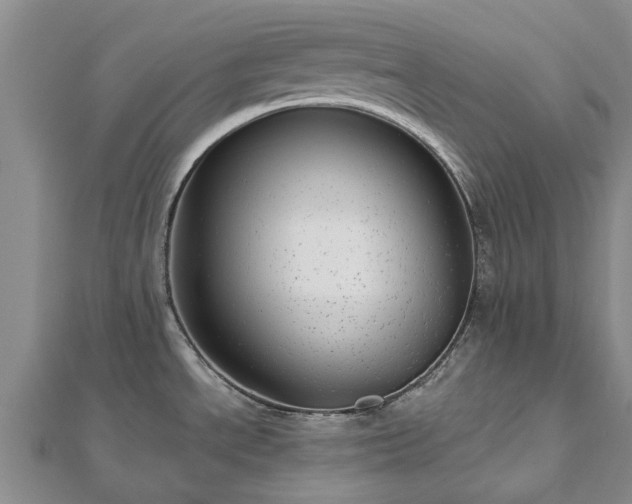X0000112481534200908241243