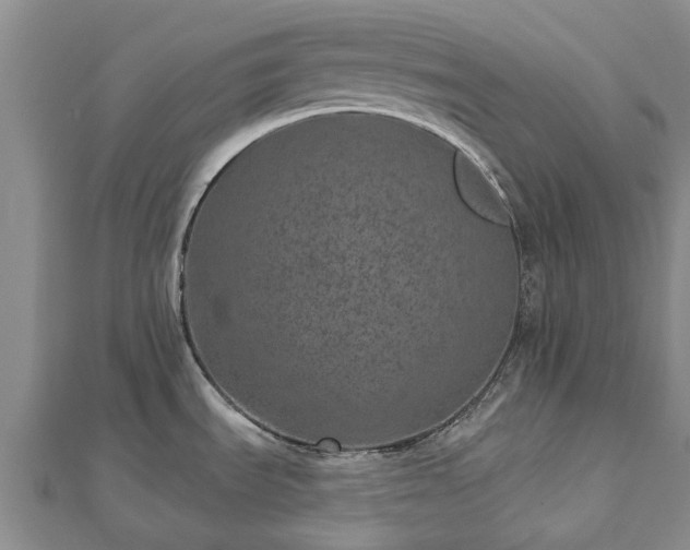 X0000112481535200908241243