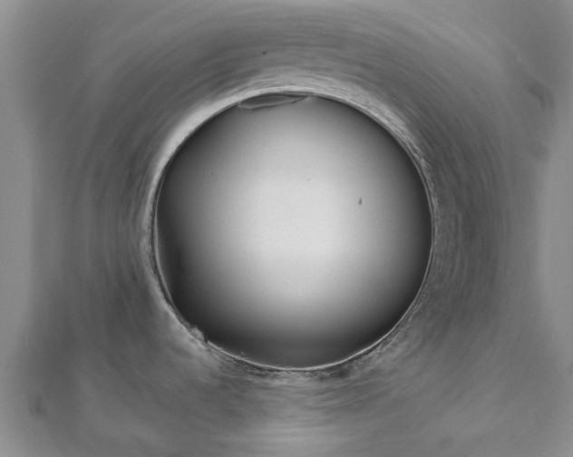 X0000112481536200908241243