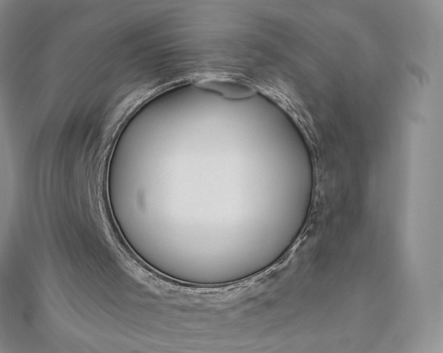 X0000112480001200908311421