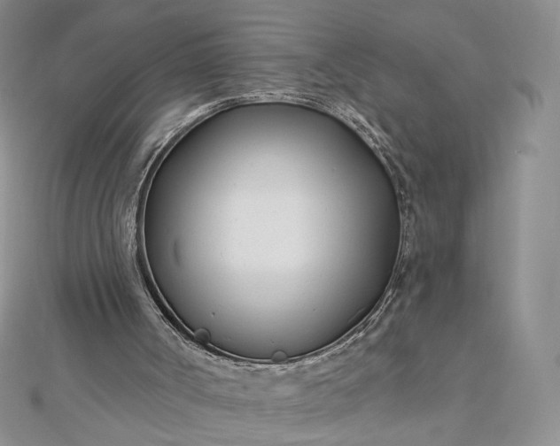 X0000112480002200908311421