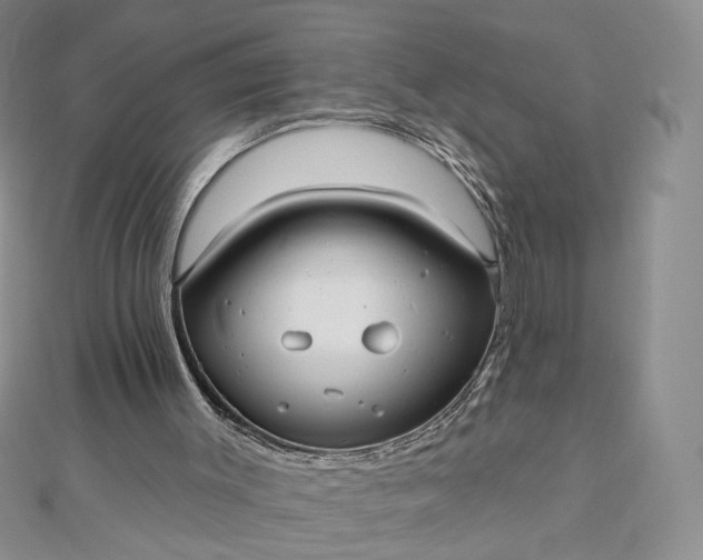 X0000112480003200908311421