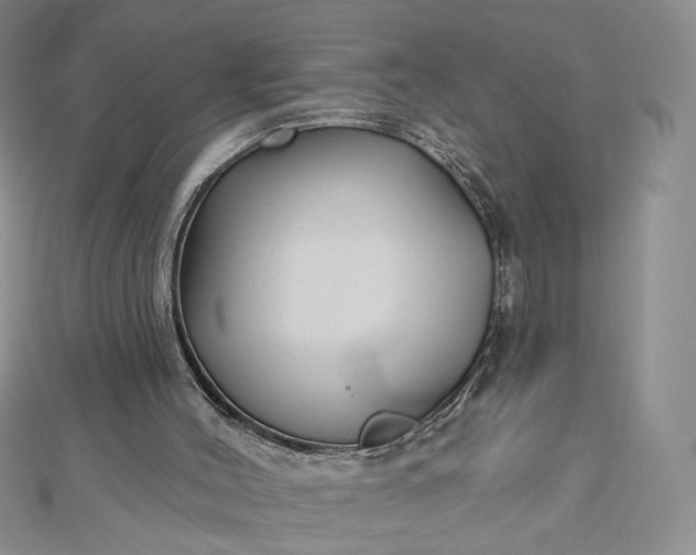 X0000112480004200908311421