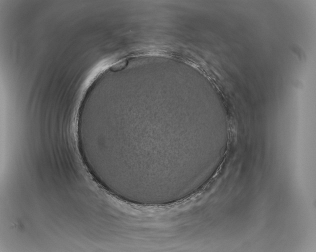 X0000112480006200908311421