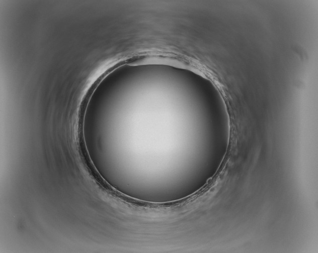 X0000112480008200908311421