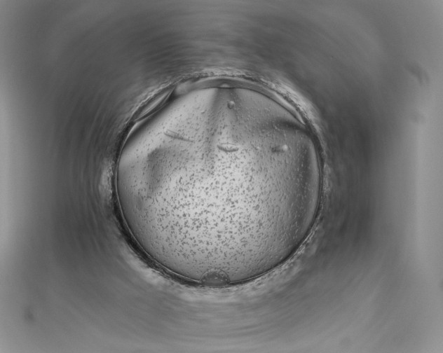 X0000112480009200908311421