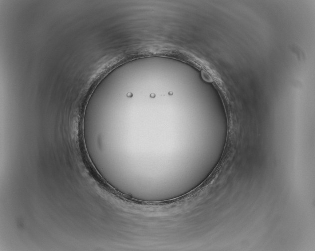 X0000112480010200908311421