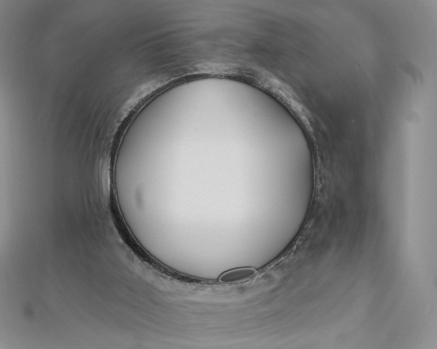 X0000112480011200908311420