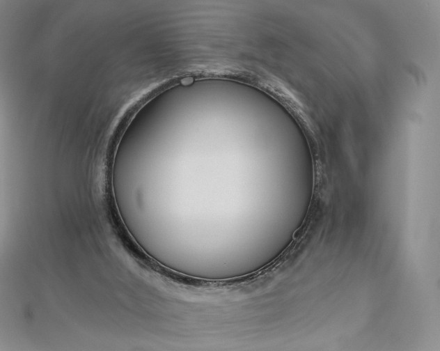 X0000112480012200908311420