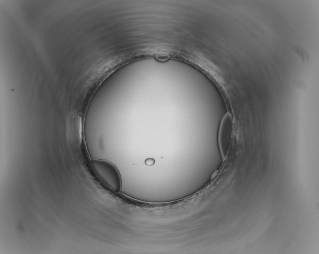 X0000112480013200908311420