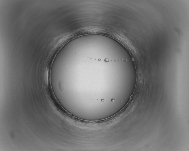 X0000112480014200908311420