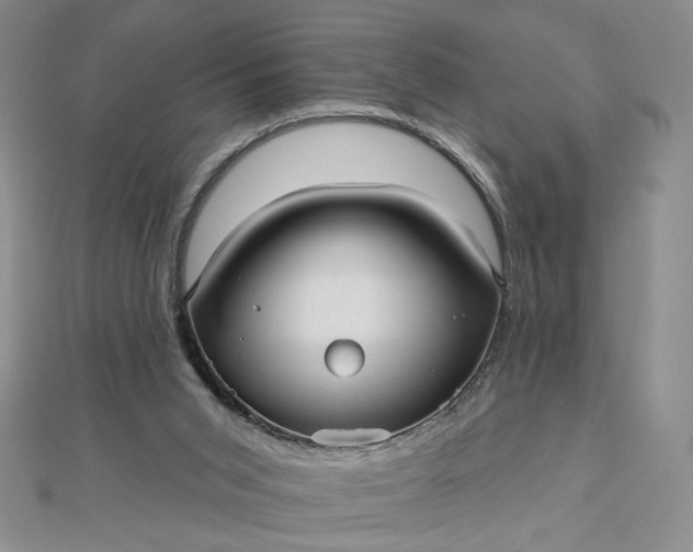 X0000112480015200908311420