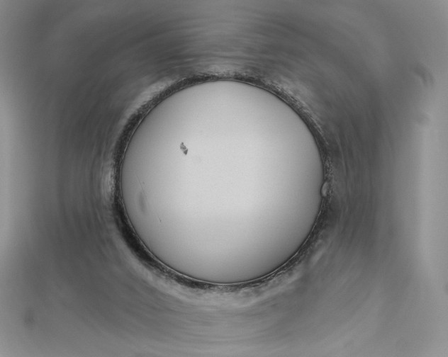 X0000112480016200908311420