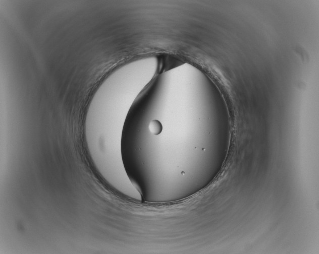 X0000112480017200908311420