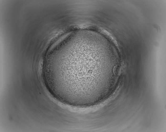 X0000112480018200908311420