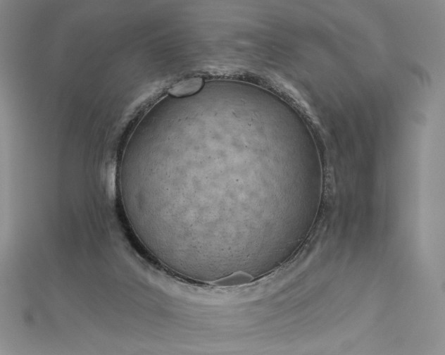 X0000112480019200908311420