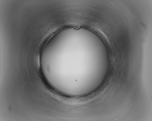 X0000112480020200908311420