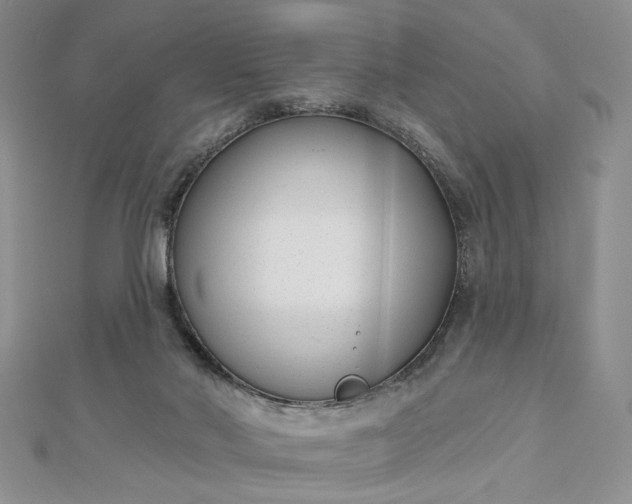 X0000112480022200908311420