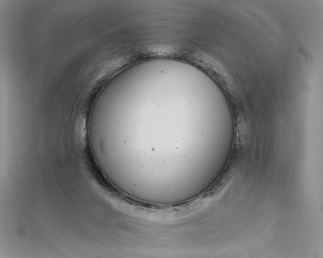 X0000112480024200908311420