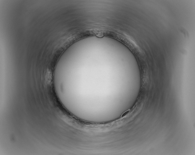 X0000112480025200908311420