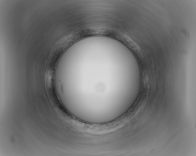 X0000112480026200908311420