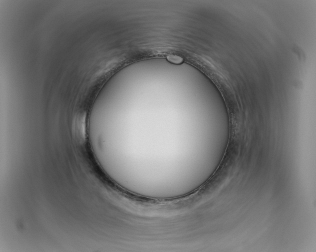 X0000112480028200908311420