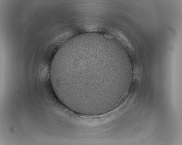 X0000112480029200908311420