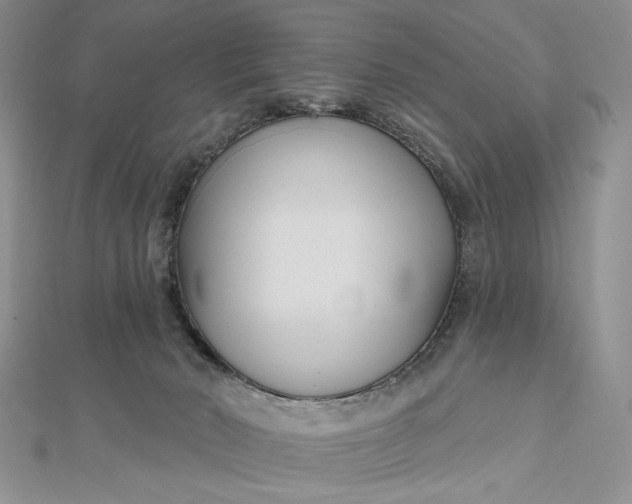 X0000112480030200908311420