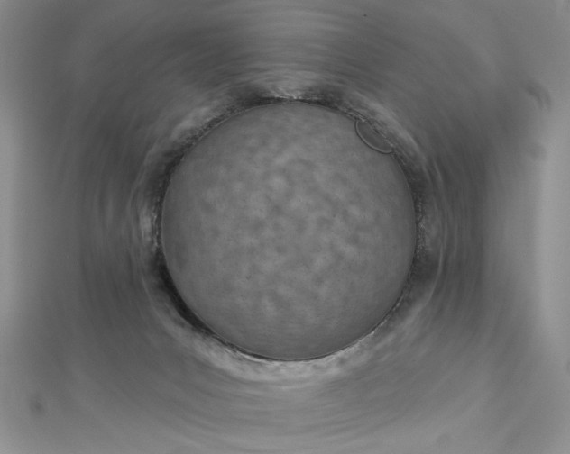 X0000112480031200908311420