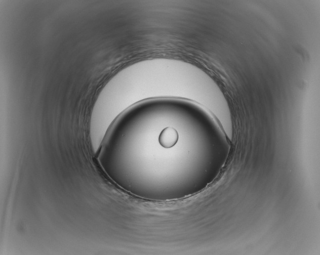 X0000112480033200908311420