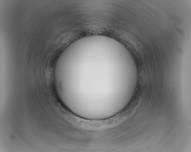 X0000112480034200908311420