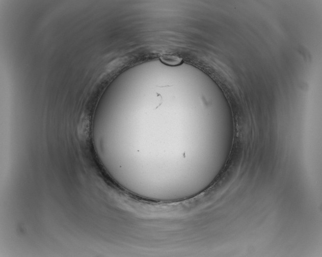 X0000112480036200908311420