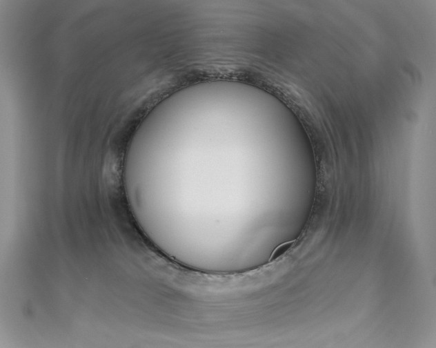 X0000112480037200908311420