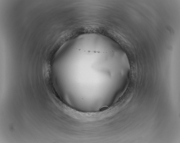 X0000112480038200908311420