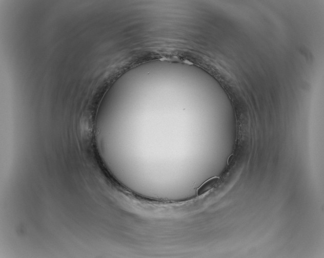 X0000112480040200908311420