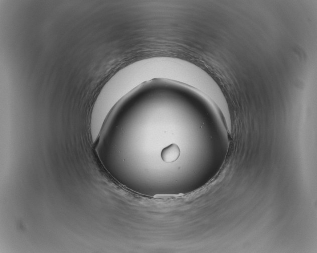 X0000112480041200908311420