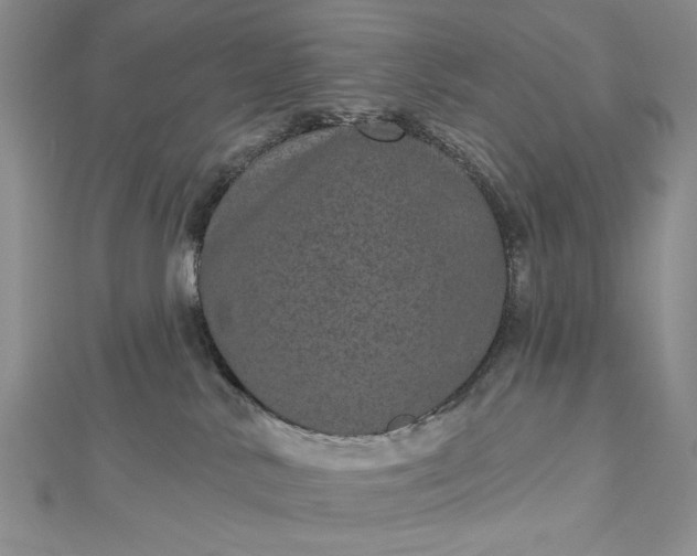 X0000112480042200908311420