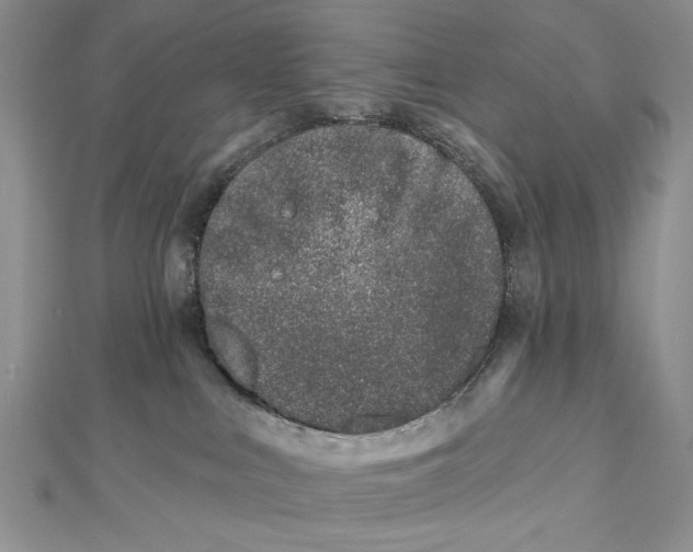 X0000112480043200908311420