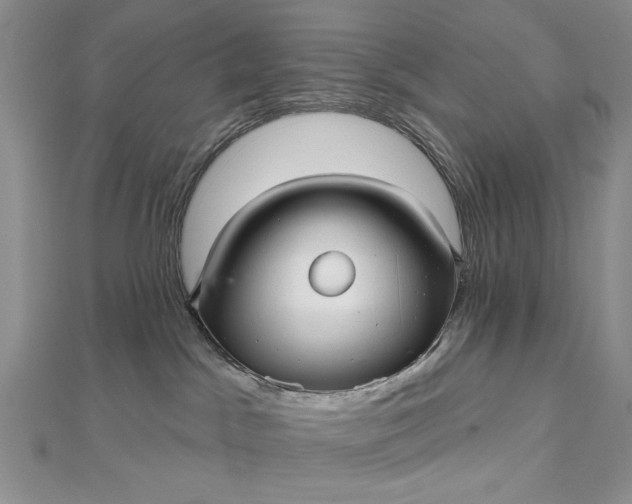 X0000112480045200908311420