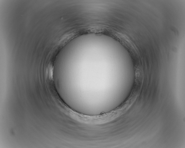 X0000112480046200908311420