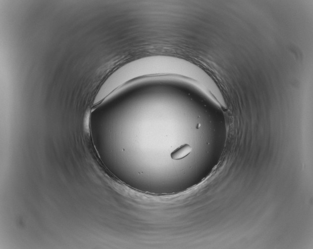 X0000112480047200908311420