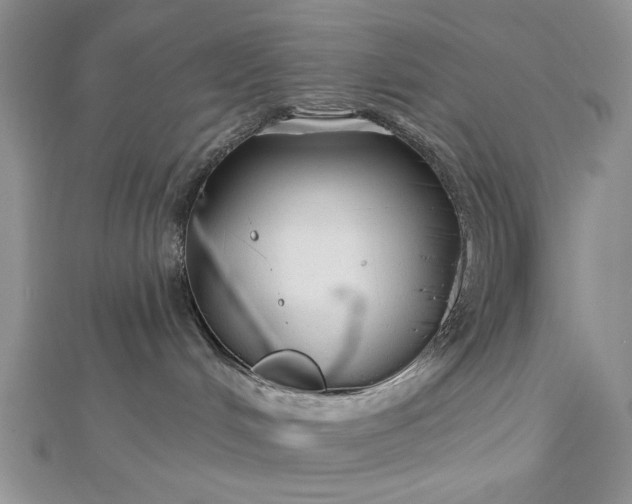 X0000112480048200908311420