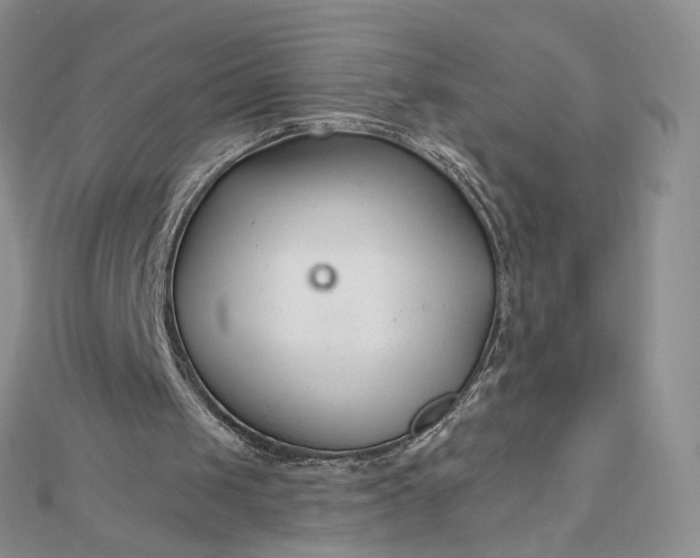 X0000112480049200908311419