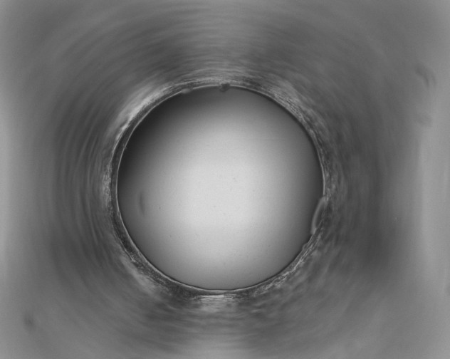 X0000112480050200908311419