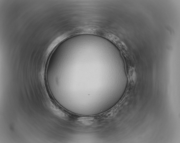 X0000112480051200908311419