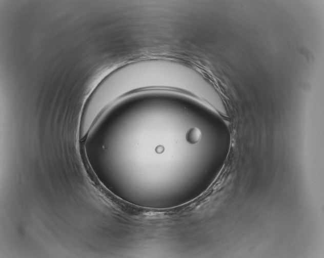 X0000112480052200908311419