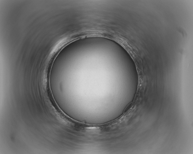 X0000112480053200908311419