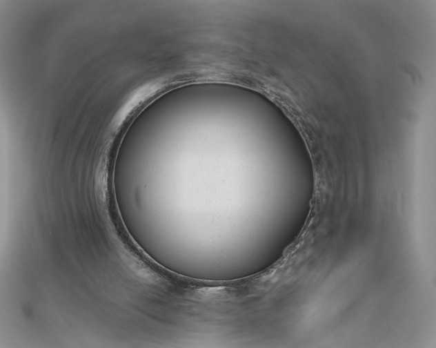 X0000112480054200908311419