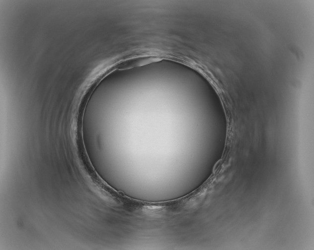 X0000112480055200908311419